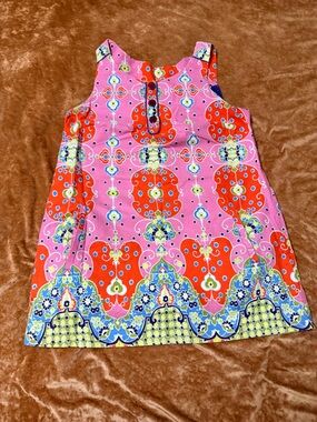 Maeve Anthropology Pink Patterned Sleeveless A-Line Detail Dress 14